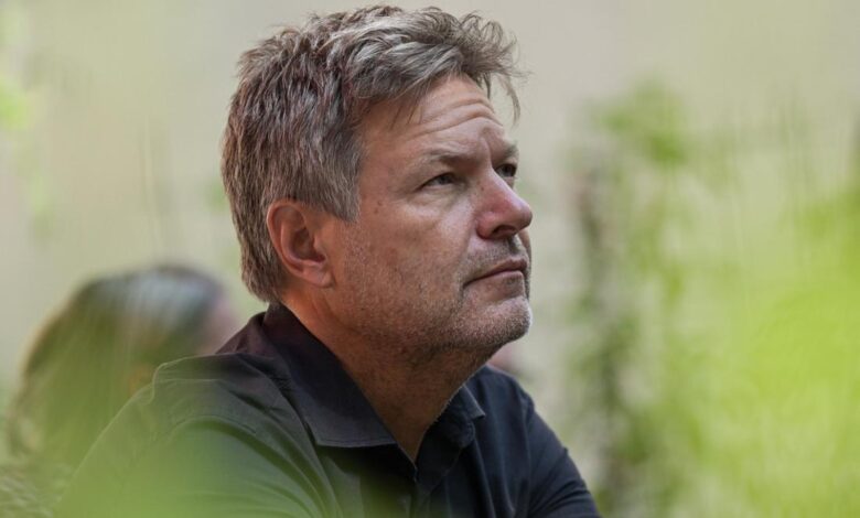 Robert Habeck Gehalt