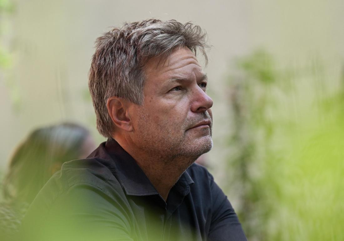 Robert Habeck Gehalt