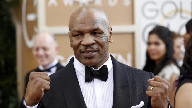 Mike Tyson's Vermögen