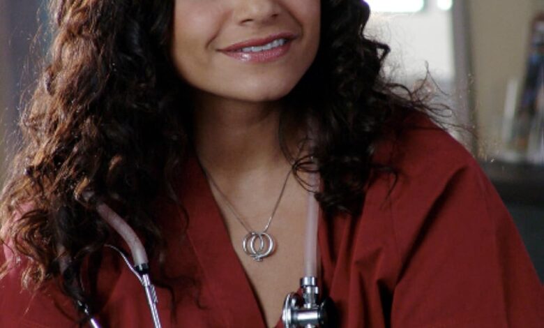 Judy Reyes: Karriere