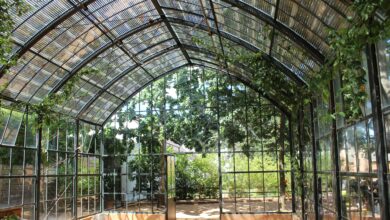 Wintergarten
